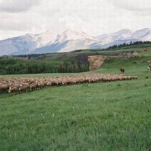 Meet your Posher, Adriana